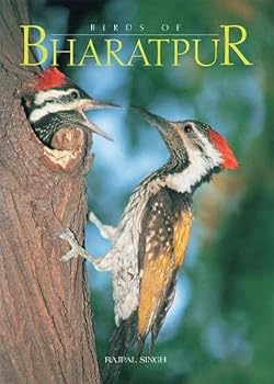 Birds of Bharatpur