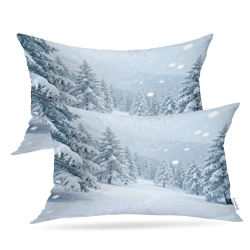 Batmerry Mysterious Winter Landscape Throw Pillow Covers, Majestic Mountains in Magical Decorative Pillow Covers Digital Printing Blended for Couch Sofa Bed Invisible Zipper 12X20 in(Set of 2)