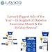 Lavior Diabetic Wound Gel (2 Packs) - Accelerates Healing Ulcers & Dry Skin - Endorsed by The American Diabetes Association - Podiatrist Choice & Tested, Vegan & GMP Certified [Exp. March 25]