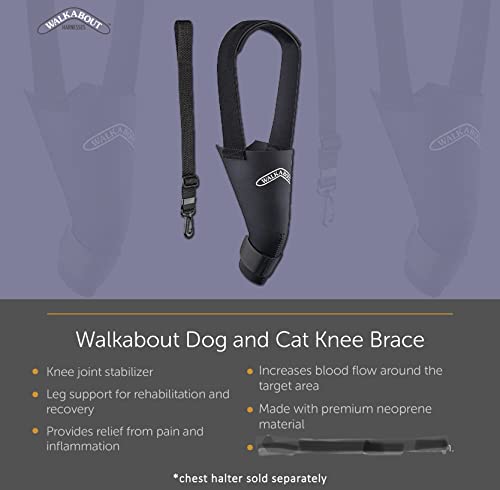 Image of WALKABOUT Knee Brace (Xsmall right (5.5-6.5 inch) inch)