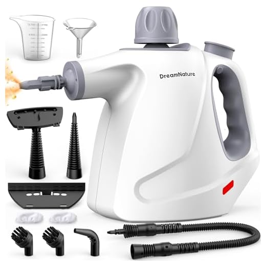 Pressurized Multi-Surface Steam Cleaner