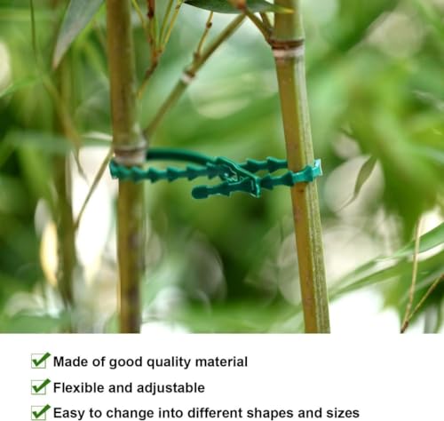 Image of 60 PCS Plant Support Clips & Ties for Climbers | 17cm Plant Support Sticks, Wall Clips & Twist Ties | Plant Holder for Vines, Creepers & Indoor /Outdoor Garden