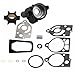 Water Pump Repair Kit for M30 M35 to M70Hp 46-77516A3 46-73640A2 18-3323