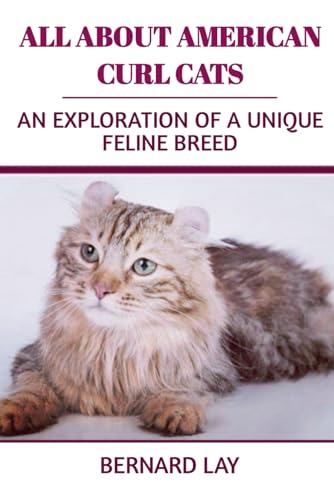 All About American Curl Cats: An Exploration Of A Unique