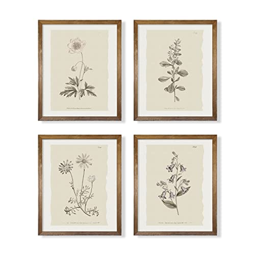 Vintage Botanical Plant Wall Art Prints - 11 x14 Neutral