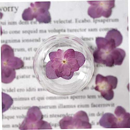 Flores Secas Prensadas para Manualidades DIY 30 piezas miniatura 5