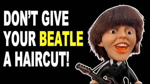 Don&rsquo;t Give Your Beatle a Haircut ! ✂️ 😭