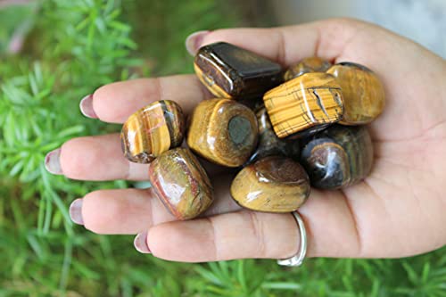 Jet Tiger Eye Tumbled Stone Attractive Genuine Healing Protection Massage Chakra Balancing 100 Grams Approx. 0.75" To 1"Inch Each Piece #TOP1