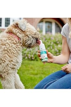 2本　VET'S BEST ADVANCED DENTAL FOAM Vet_sBestAdvancedDentalFoamfor