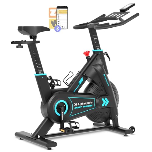 Exercise Bike, LET’S CAMP Brake Pad/Adjustable Magnetic Stationary Bike for Home,Indoor Cycling Bike with Low Noise,Heart Rate Handle and LCD Monitor,Cycle Bike with 350lbs Weight Capacity