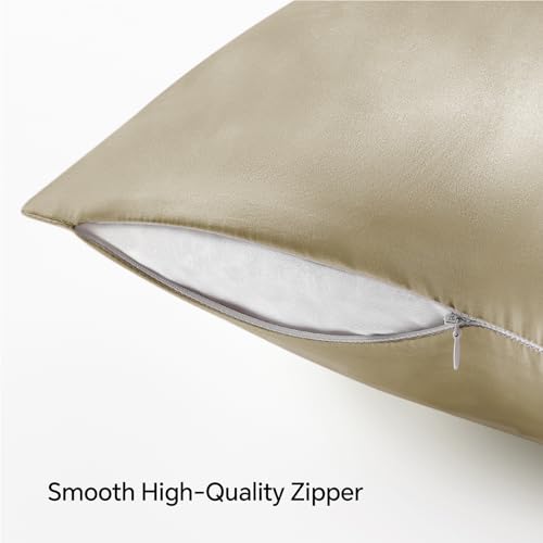 BEDELITE Satin Pillowcase with Zipper 2 Pack, Taupe Pillow Cases Standard Size, Super Soft and Cooling Similar to Silk Pillow Cases, Gift for Women Men(20x26 Inches)