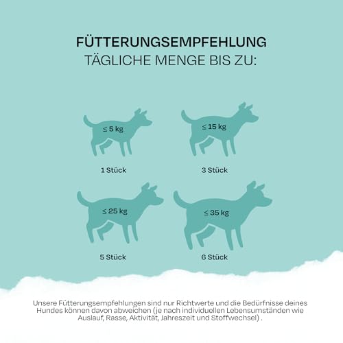 VEGDOG Beevys Snack Hunde, hypoallergen, Buchenholz Raucharoma, 9x80g