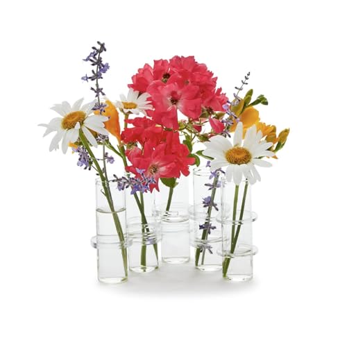 Twos Company Hinged Tube Flower Vase 8-Inch Glass Clear Set of 5