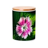 Multi-usages : idéal pour stocker des aliments secs (pâtes, riz, épices), des biscuits, ou même des petits objets