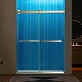 Woodbridge 56-60" W x 80" H Frameless Double Sliding Soft-Close Shower Door,3/8(10mm) Tempered Glass with Explosion Proof Film in Brushed Gold Finish