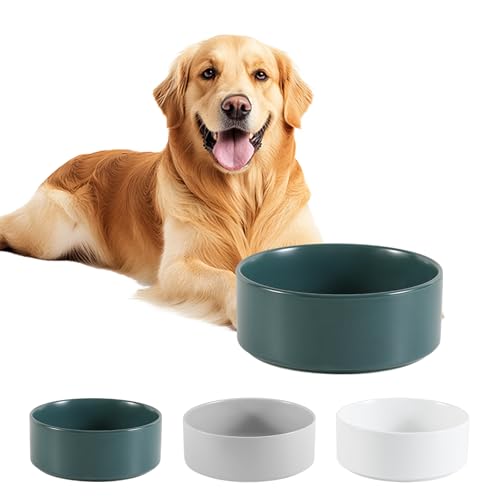 Ceramica Bebedero y Comedero Perro Antideslizante - Comedero para Perros Medianos y Grandes Ideal para Comida y Agua - 21,5 cm - 750 g / 1750 ml - Verde