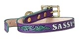 Tandy Leather Dog Collar Kit - for Beginners - Pre-Punched Vegetable Tanned Leather Strap for Stamping, Dyeing, and Hand Sewing