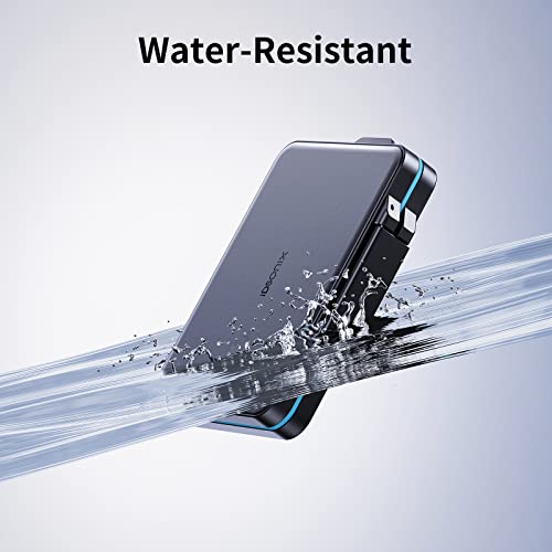 IDsonix Custodia per Schede di Memoria con 21