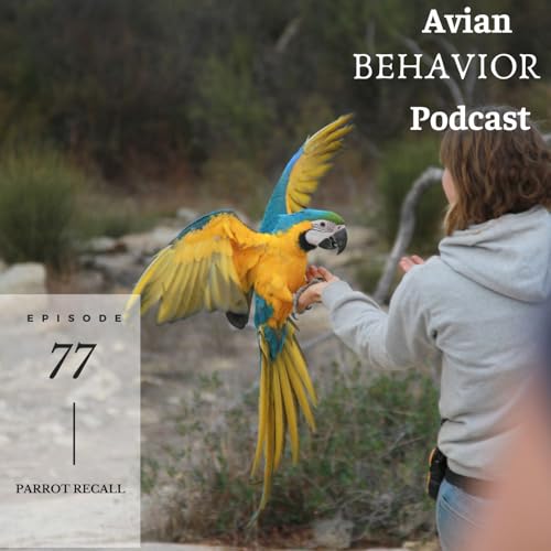 77 Parrot Recall