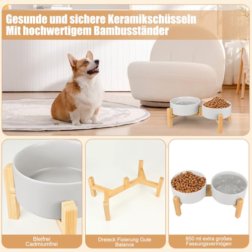 2er Set Hundenapf Keramik, Hundenapf Set Erhöht Hundenapf, 850ml Doppel Futternapf Hund mit Bambus Ständer, für Kleine und Mittelgroße Hunde, rutschfest Futterstation, Fressnapf Hund und Wassernapf