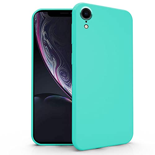 【 Compatibilità 】solo per Apple iPhone XR.