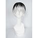 Produktbild LanTing Cosplay Perücke Tokyo Ghoul Sasaki Haise black mix white Perücke Corta Cosplay Party Fashion Anime Human Costume Full wigs Synthetic Haar Heat Resistant Fiber