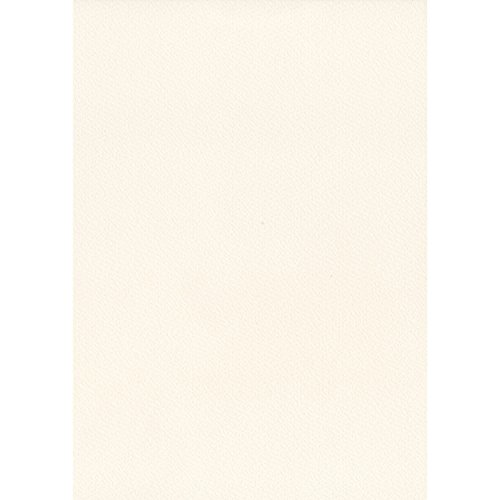 エスケント 色画用紙 スターウェーブ 八切 オフホワイト 100枚 5008834