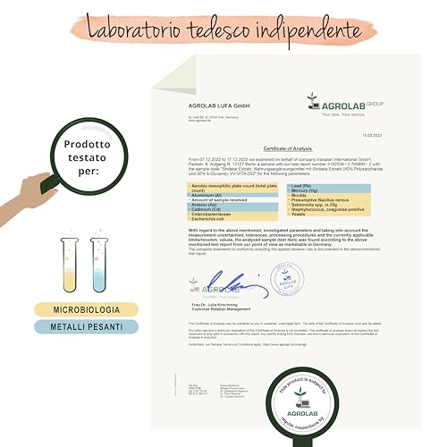 SHIITAKE Vegavero® | 1.500 mg | Con 40% Polisaccaridi e 30% Betaglucani | Certificato in Laboratorio | 120 capsule | Lentinula edodes | Vegan - 6