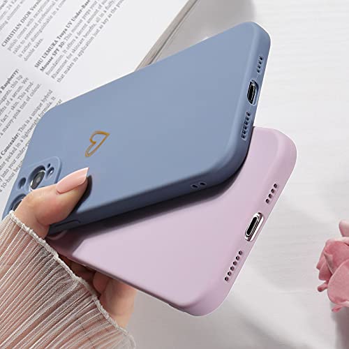 Lafunda Cover Compatibile per iPhone 12 Pro Max