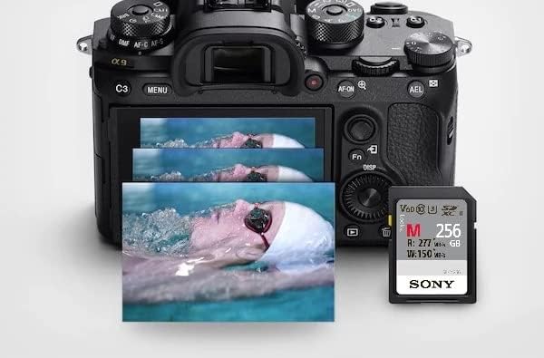 Camera with Sony SD card and multiple image overlays