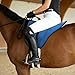 LWITDOG Bareback Pad for Horses, Horse Saddle Pad with Adjustable Girth,Shock-Absorbing Bareback Saddle Pad,Riding Pad for Horse Riders (Midnight Blue)