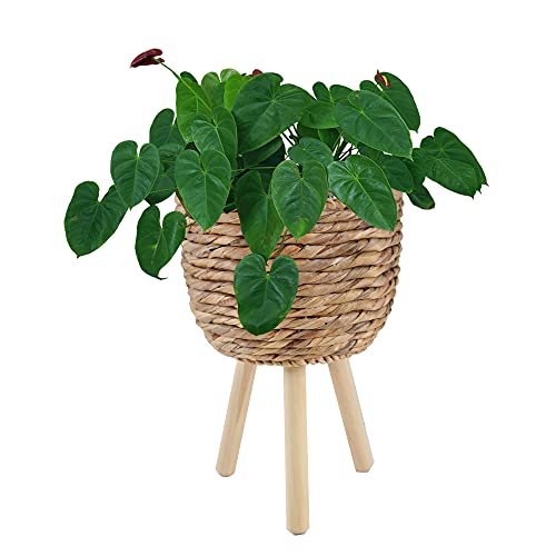 MadeTerra Weidenkörbe für den Innen- und Außenbereich – gewebte...