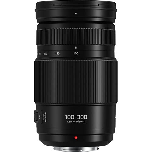 Amazon.com : Panasonic Lumix G Vario 100-300mm f/4.5-5.6 Lens (H 
