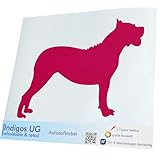 Produit haut de film Indigos UG – Autocollant/Bumper – JDM/Die Cut – dogue des Canaries BREED – 120 x 90 mm