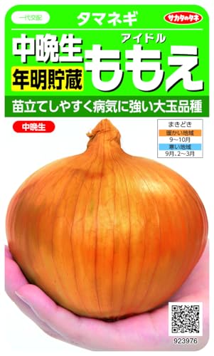 玉ねぎ 種