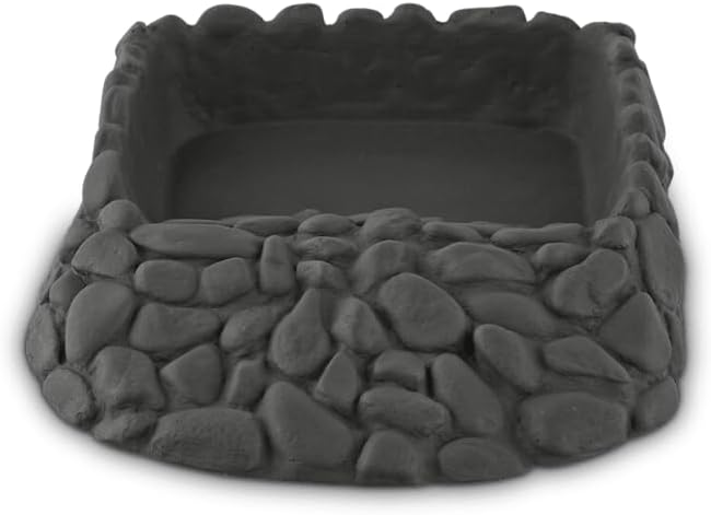 Imagitarium by Petco Reptile Ramp Bowl 13" L X 9" W X 2.5" H