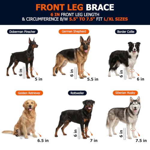 Image of Labra Dog Front Leg Brace - Compression Wrap with Adjustable Straps - Dog Wrist Brace for Support - Leg Sleeve to Stop Licking - Aid in Wound Care and Recovery - Large /Extra Large