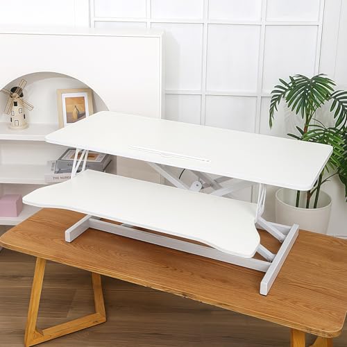 Bxzzuis  KX~e[u fXNCU[ É ~ 㖳iK? gsv L[{[ht ^Cv fXN[N L[{[ hgCt ?ʗ? (zCg,[w])