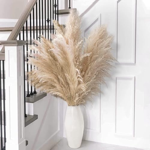Frogetu 10 Piezas 100CM Pampas Secas Decoracion,Decoración de Hierba de Pampa Seca Natural,Decoración de Ramo Seco,Ramas Largas de Pampa,para Decoracion Boho Bodas Fiesta Rústica