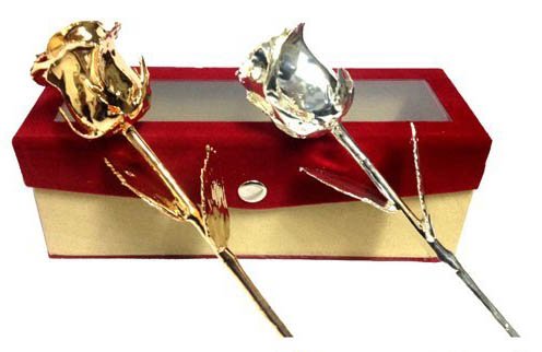 Lavanaya Silver: Gold Dipped and 999 Silver Dipped Real Rose in Velvet Box for Loved Ones (15 CM, 250 GMS)-image-13