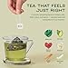 Tea Facto Bye Bye Sugar* Bitter Melon & Mulberry Tea Bags for Natural Sugar Spike Balance - TCM Wellness Tea - Natural Fibers, Zero Added Sugar, Uncaffeinated - 10 Count