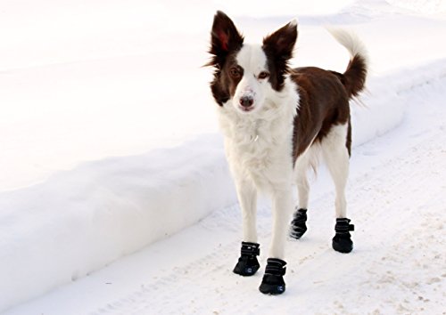 Canine Equipment Ultimate Trail Dog Boots, Small, Black #TOP3