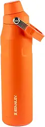 Stanley - Garrafa de Água Aerolight com Tampa Fast Flow, Garrafa Térmica a Vácuo para Bebidas Frias, Aço Inoxidável Leve, 1,06L, Tigerlily