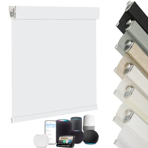 Changshade Custom Cut No-Drill Blackout Roller Shades,