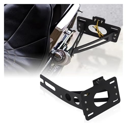 Support de plaque d'immatriculation pour supprimer le garde-boue Shadow VT 600