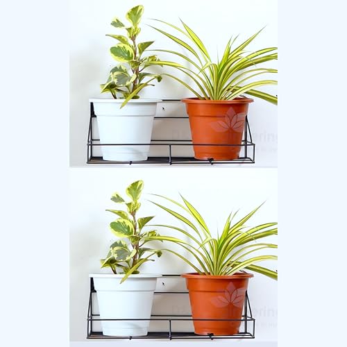 Image of D&V Engineering Metal Wall-Mounted Planters Stand | Hanging Flower Pot Holder for Balcony, Living Room, Office Decor | Space-Saving Plant Stand | Holds Up to 20kg | Pack of 2, Black