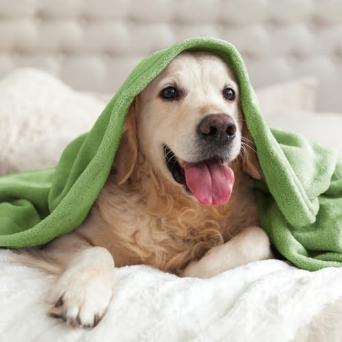 Image of BEDELITE Fleece Blanket Grass Green Throw Blankets for Couch & Bed, Luxury Plush Cozy Fuzzy Blanket 50 inch x 60 inch, Super Soft Warm Lightweight Throw Blanket for Travel Camping