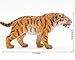 Gemini&Genius Smilodon Toy Figure for Kids, Saber-Toothed Tiger Animals Action Figure Toys for Kids (Smilodon)