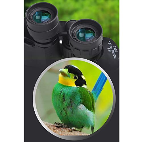 20x50 Fernglas FüR Erwachsene Hd Wasserdichtes Bak4 Prisma Fernglas FüR Vogelbeobachtung Reise Und Jagd Stargazing – Bild 3