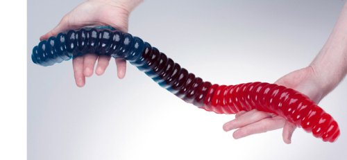 World's Largest GUMMY WORM- Cherry/Blue Raspberry